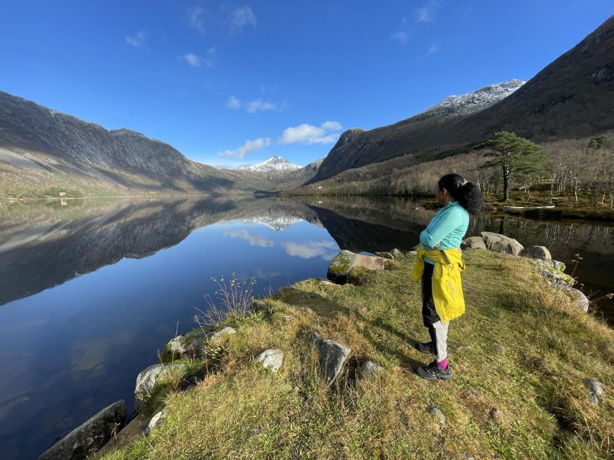 Fjord Apartments Dimmelsvik Eksteriør bilde